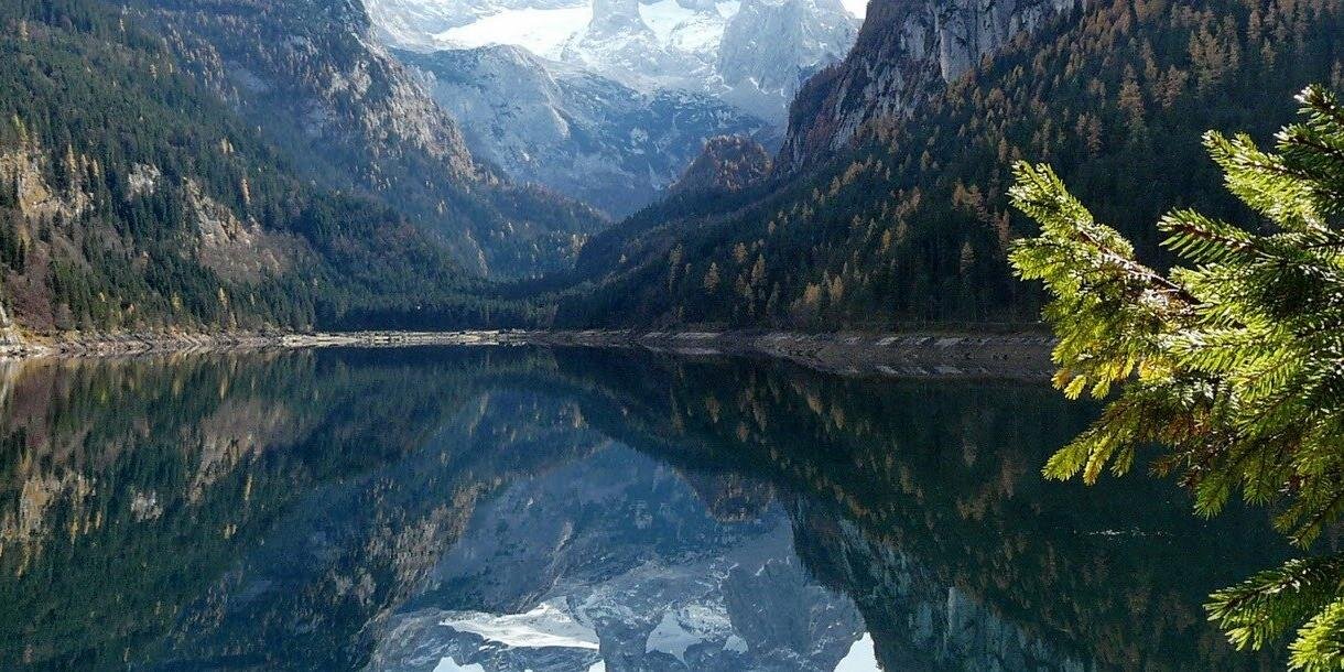 Jean Pierre Mera banner