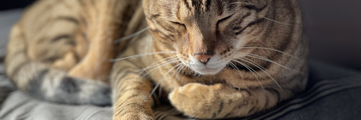 🐾🐈テツ🐕🐾 banner