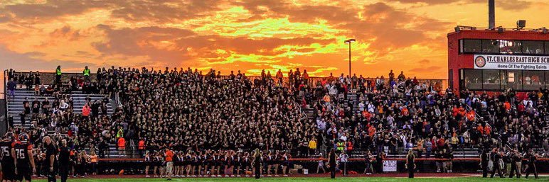 STCE Orange Fever ⚜ banner