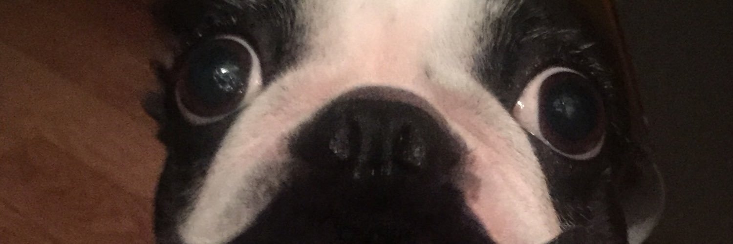 GuriMasterJun's profile banner image