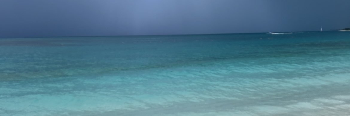 catmcgarry13's profile banner image