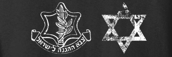 Amiran_Zizovi Profile Banner