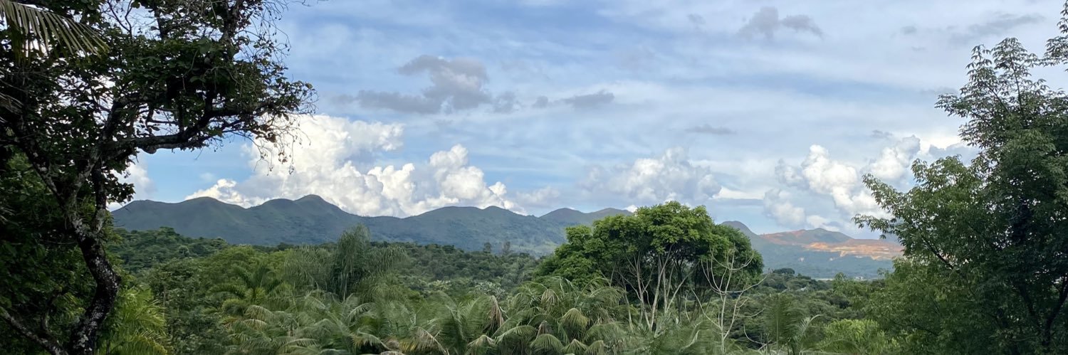 Lauren E. Gillespie banner