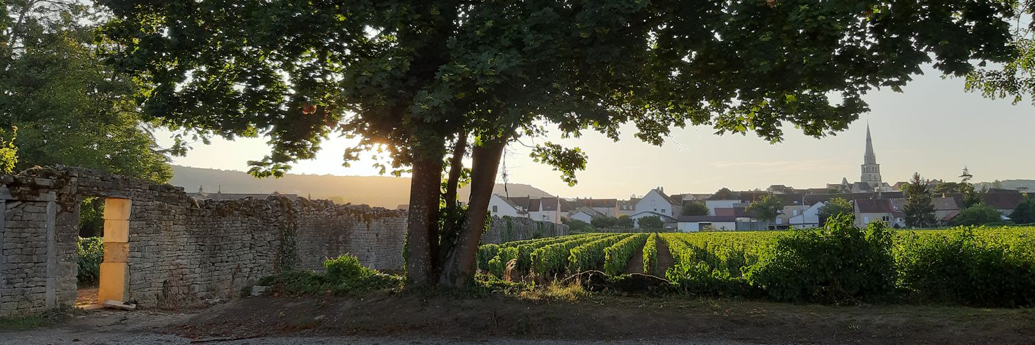 Jean-Baptiste Gosset banner