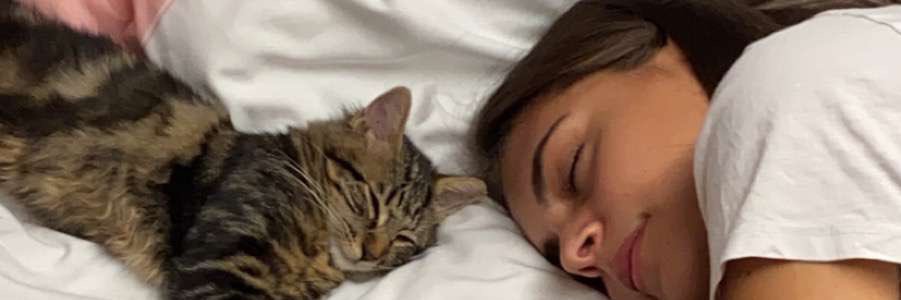 brnd_lea's profile banner image