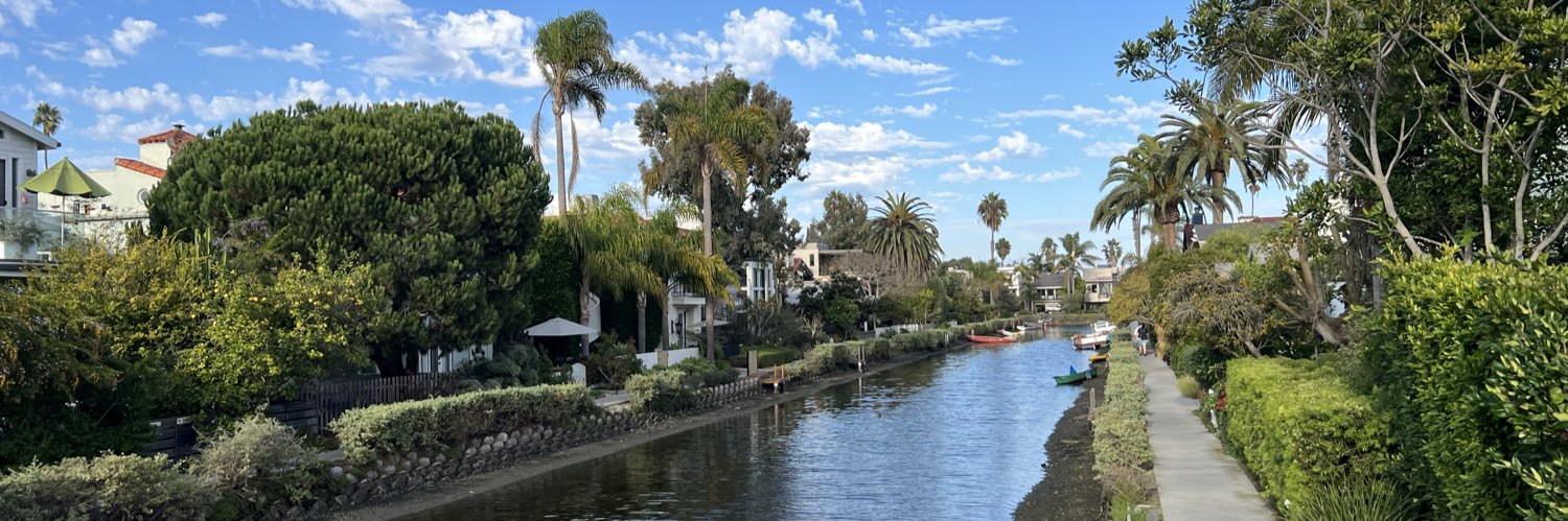 AsianDickAustin banner