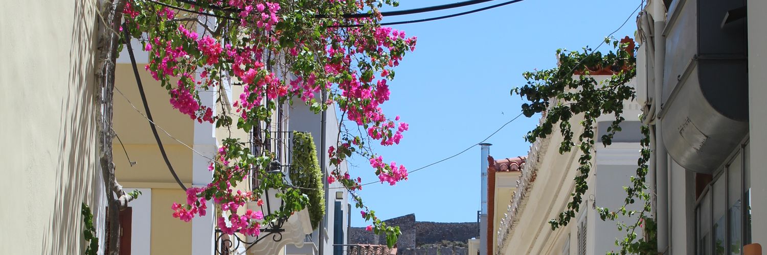 muberramahmut's profile banner image