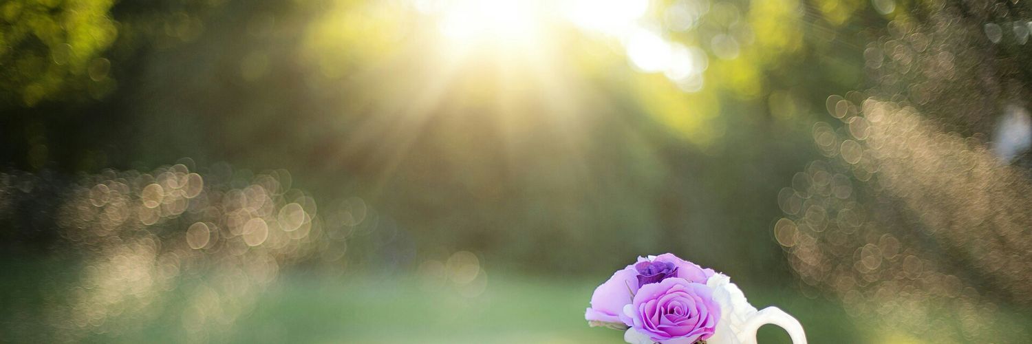 Murielle Nounawon banner