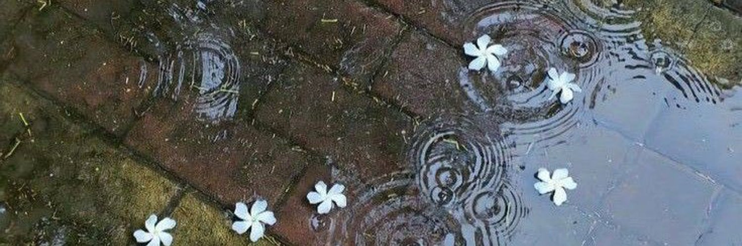 alshieraa's profile banner image