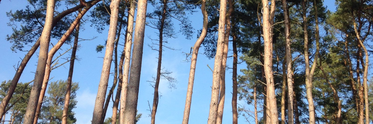 EmmaBoo39's profile banner image