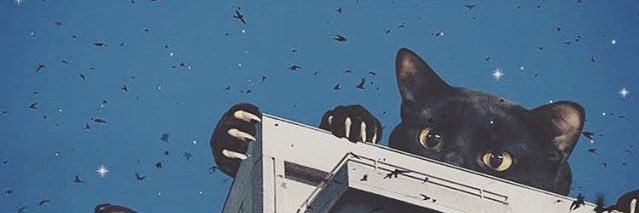 refiaseyma's profile banner image