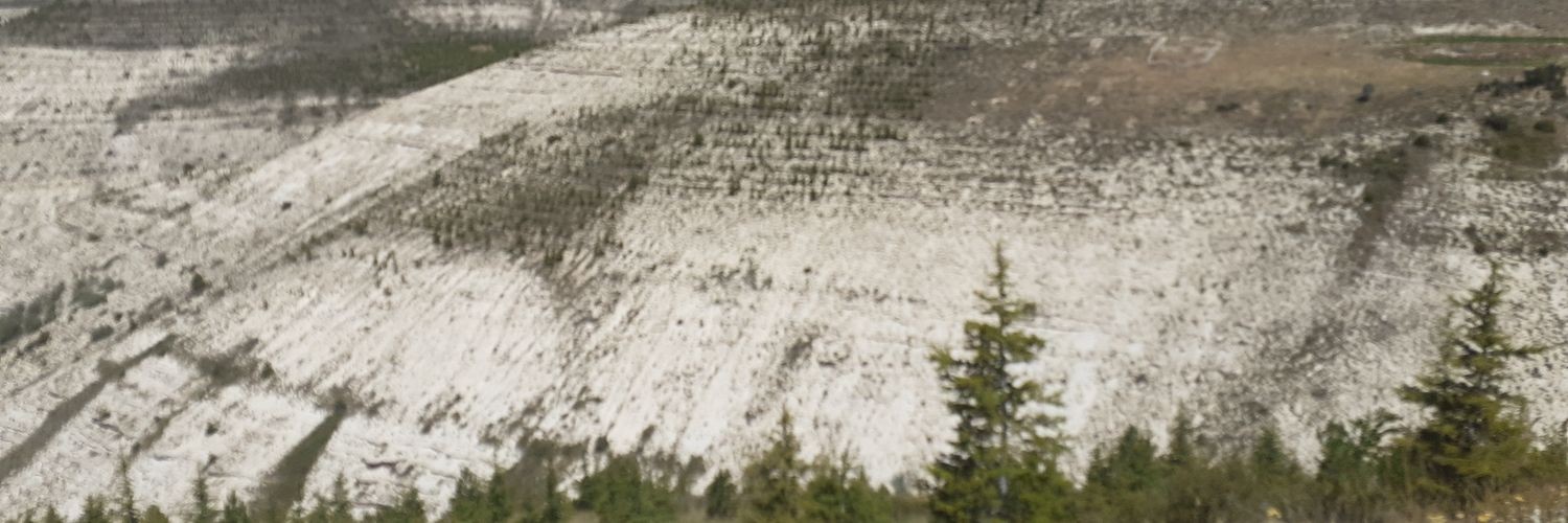 perest13983's profile banner image