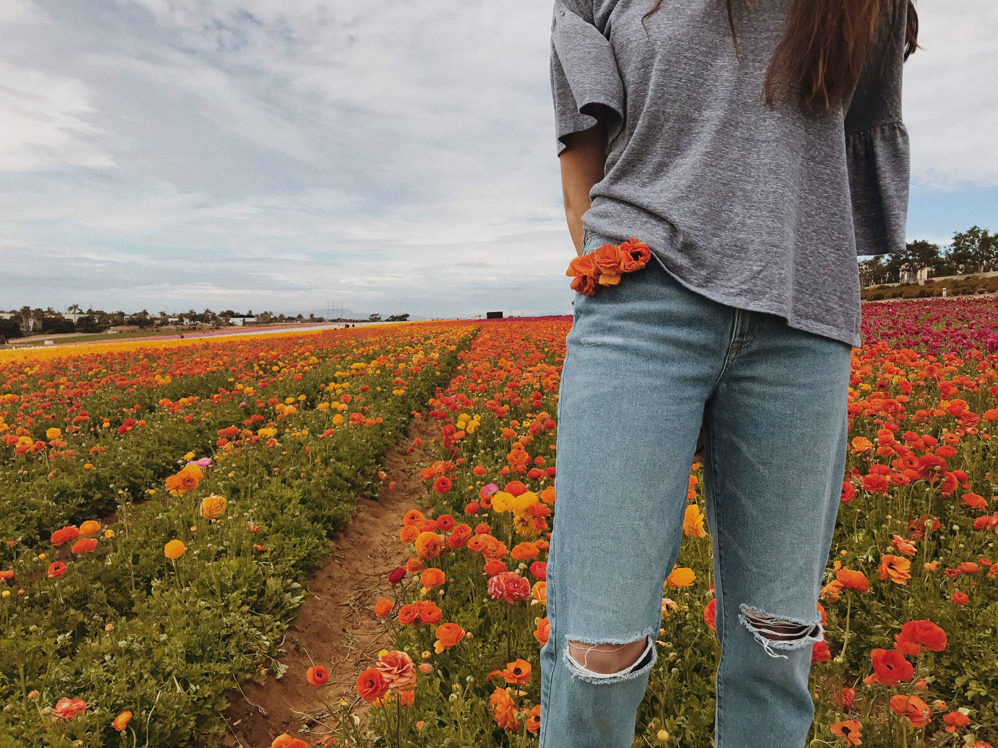 devrirose's profile banner image
