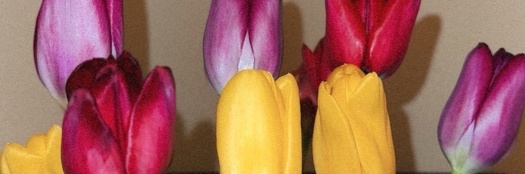 Sheiskimmm's profile banner image