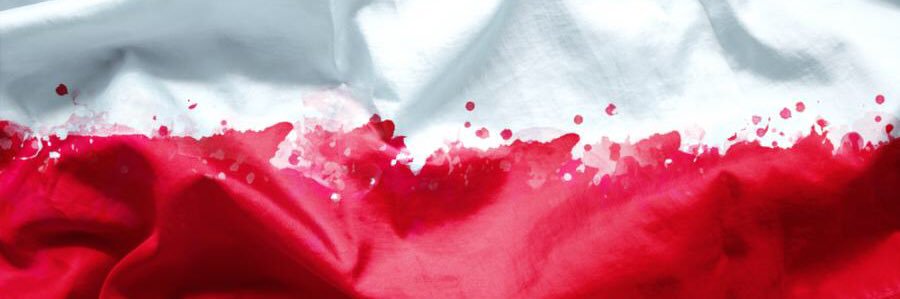 polak514's profile banner image