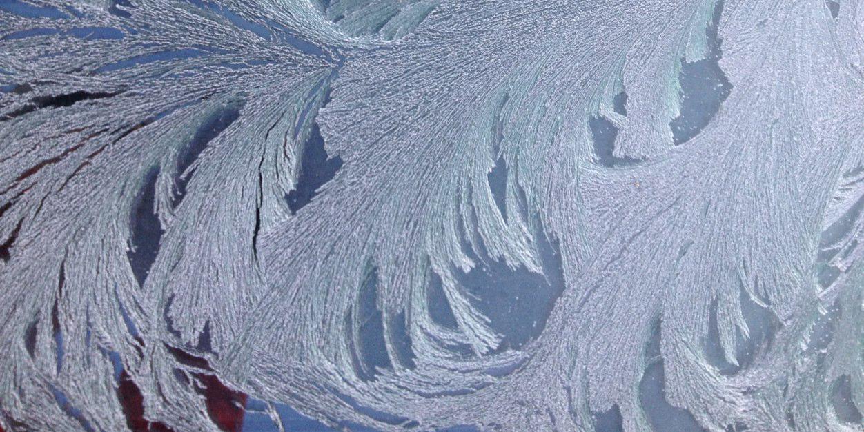 Yvonne Feuerhahn banner