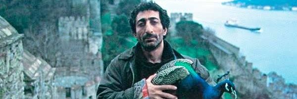 tktemur's profile banner image
