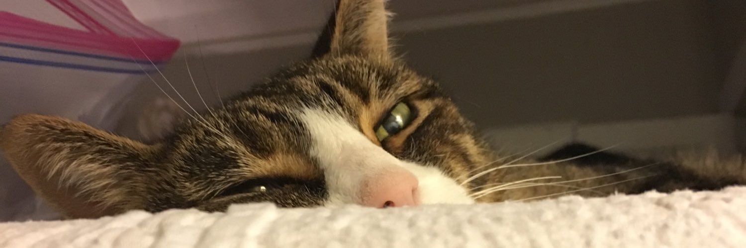 thatfatrayray's profile banner image
