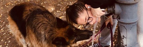 Cricrizk Profile Banner