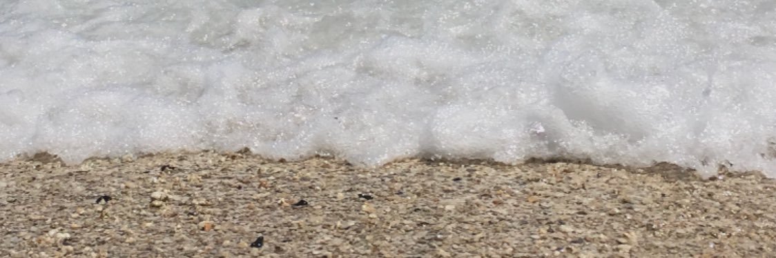 _serenaramirez's profile banner image