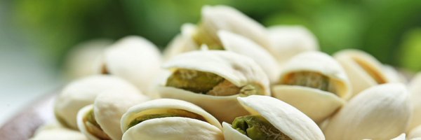 Pistacho_Proto Profile Banner