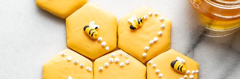 Crypto Biskit banner