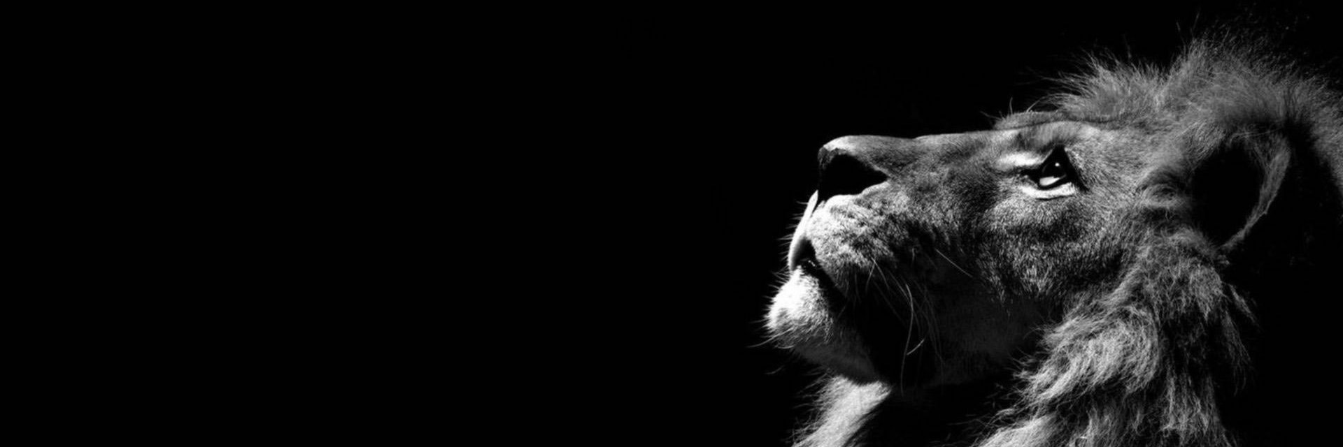 roo10dough's profile banner image