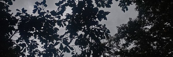 SollvanOfficial Profile Banner