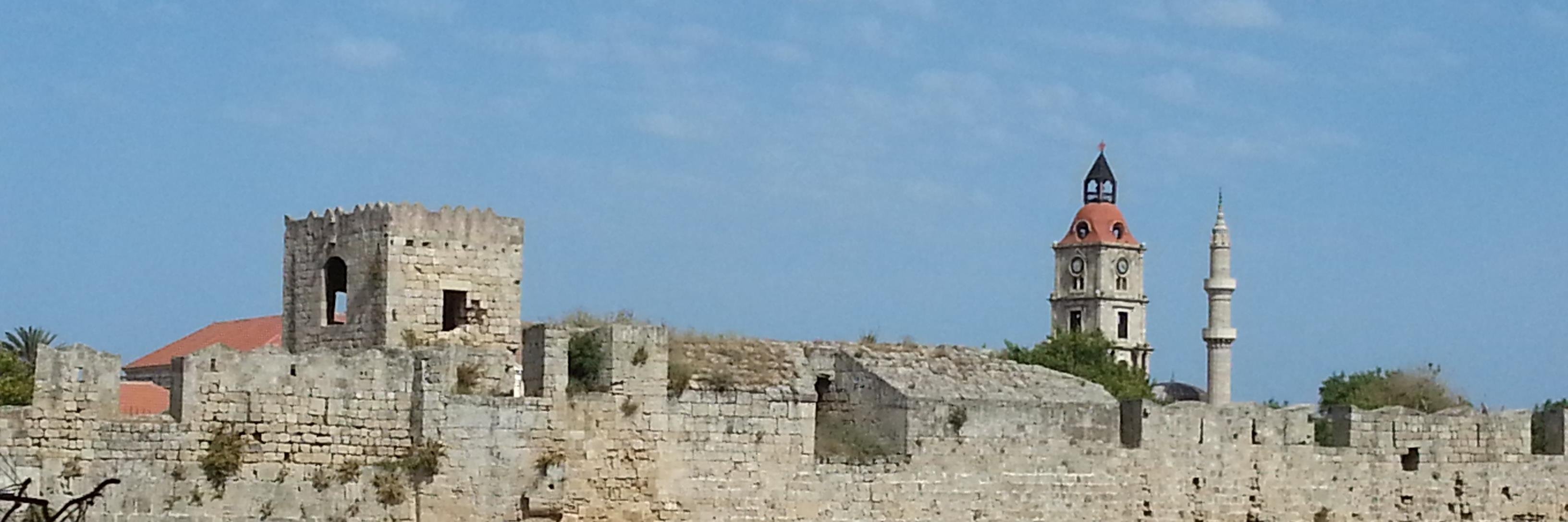 Ton van Dam 🇳🇱🇬🇷🌵🚜 banner