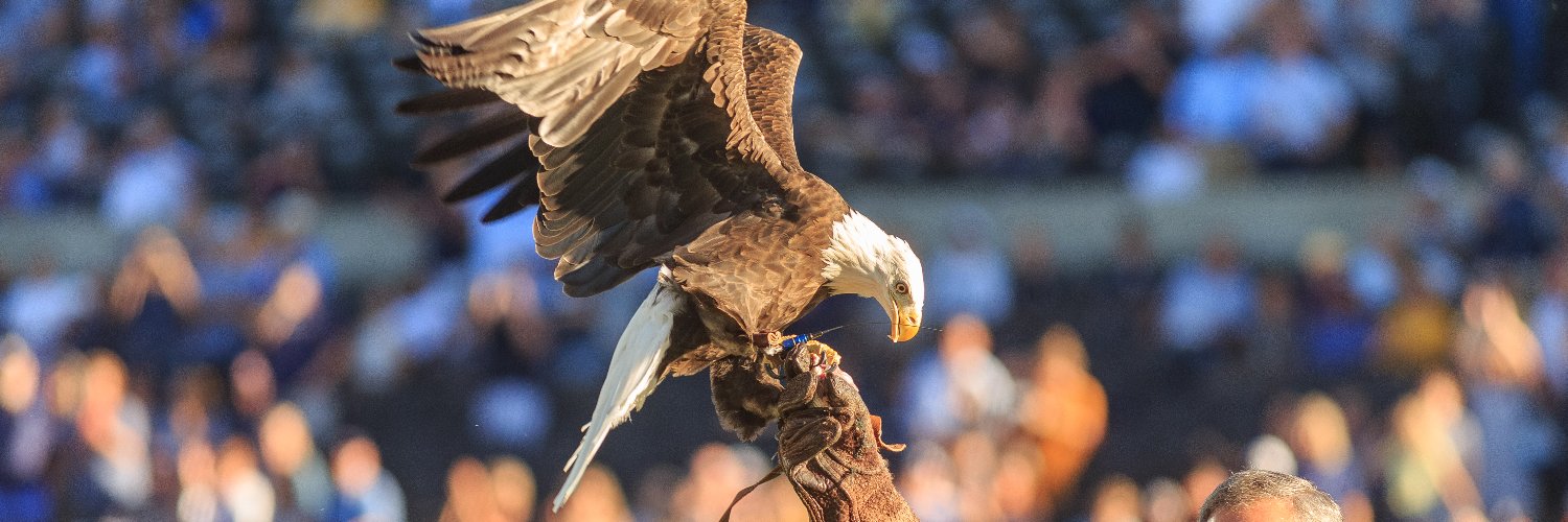 GSUstore's profile banner image