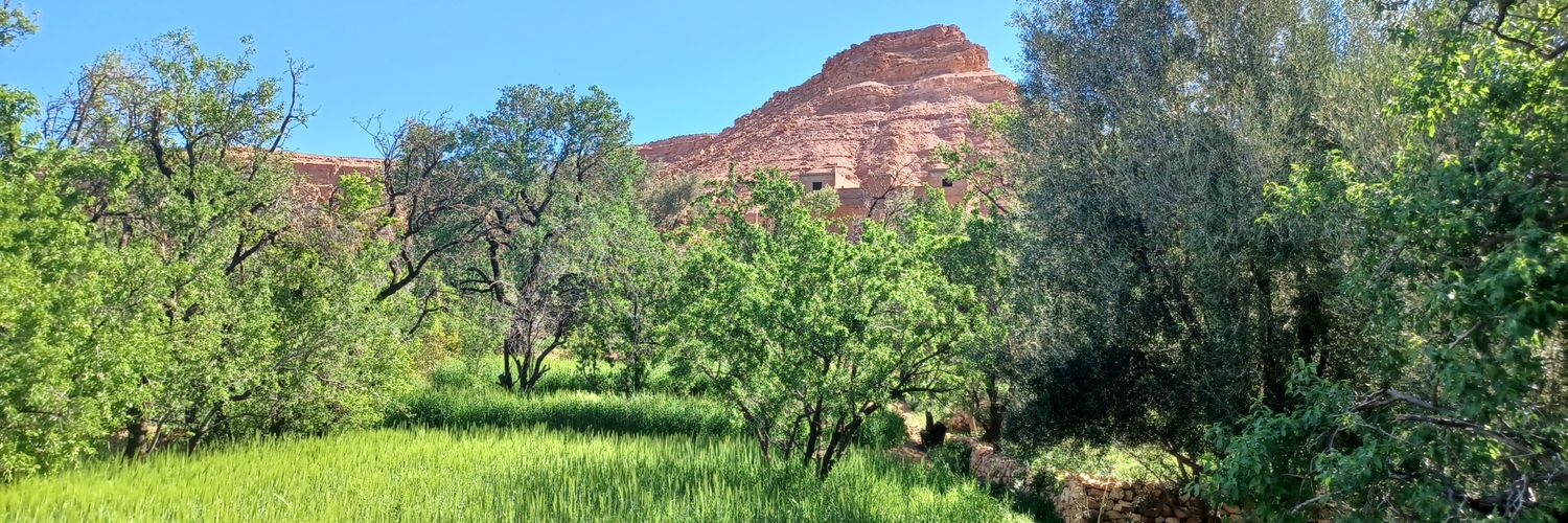 Christophe Dickès ن banner