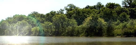Six Nations Chief banner
