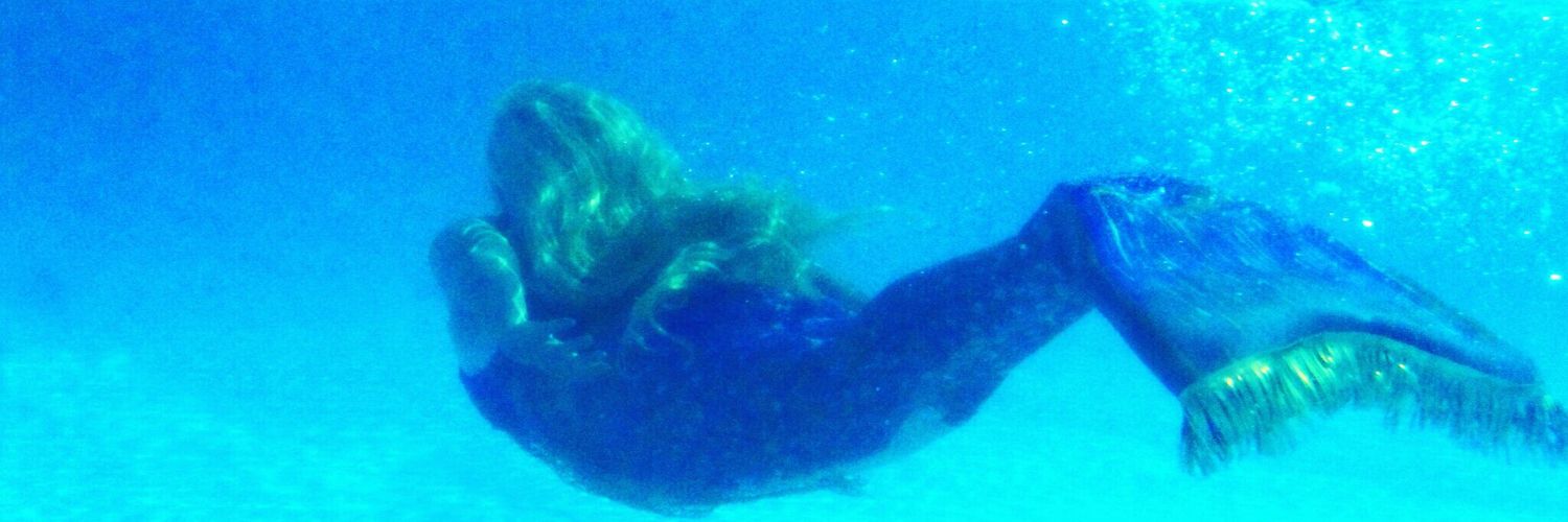 WVMermaidNicole's profile banner image