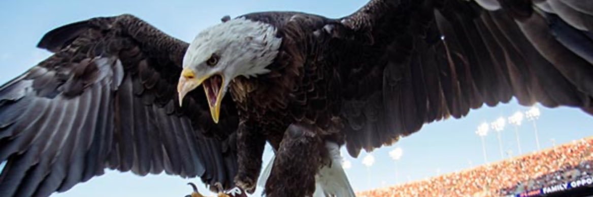 Tahaad Pettyford banner