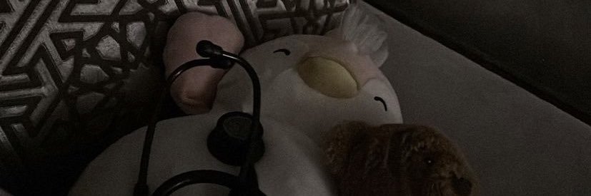 77 banner