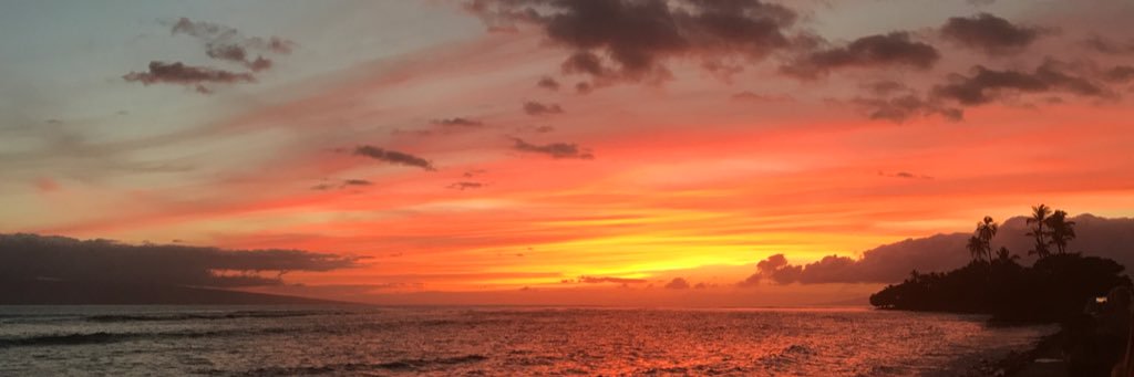 Madison_Tramel_'s profile banner image