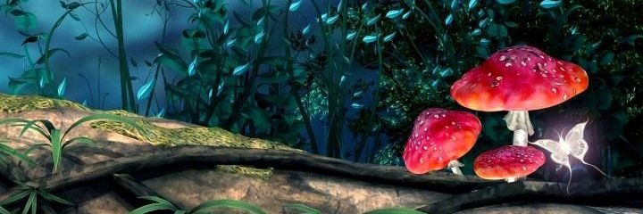 Vusi Malobola banner