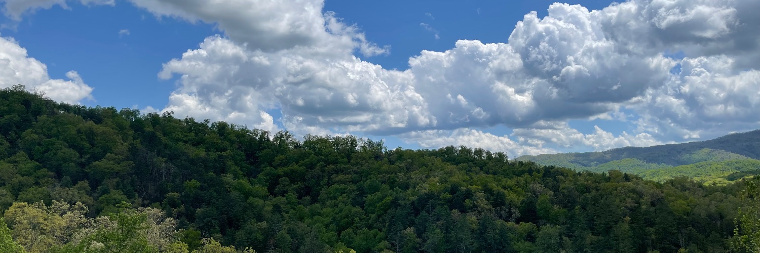 Donald Pearce banner