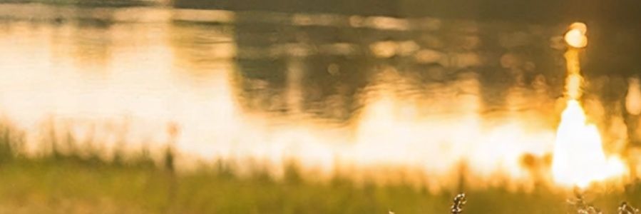 💥(OPPEN COMMISSIONS) XfequecX banner