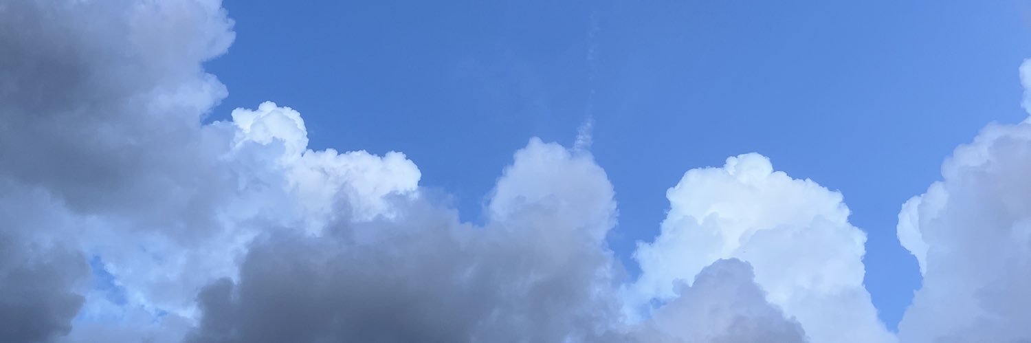 spoopyanna's profile banner image