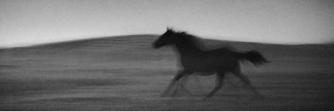 خيّالة.🐎 banner