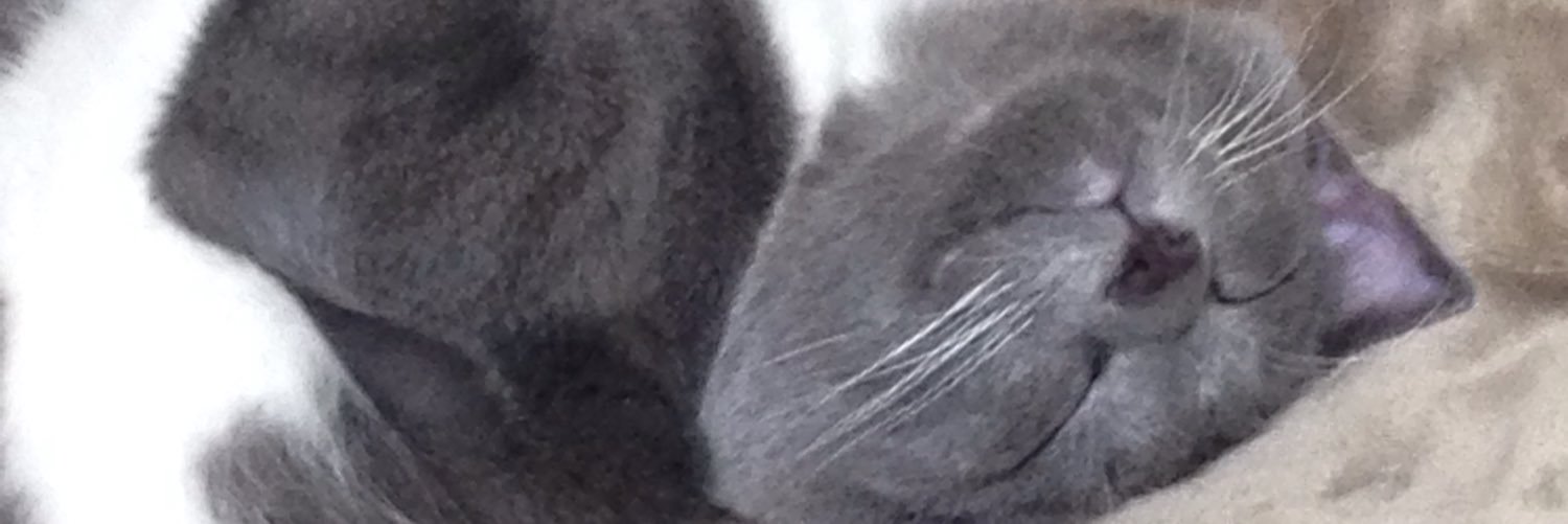 moegi0218@5/5.6 artevarie banner