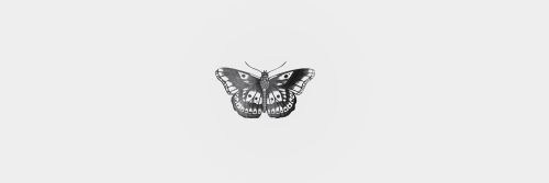 florasmaia's profile banner image