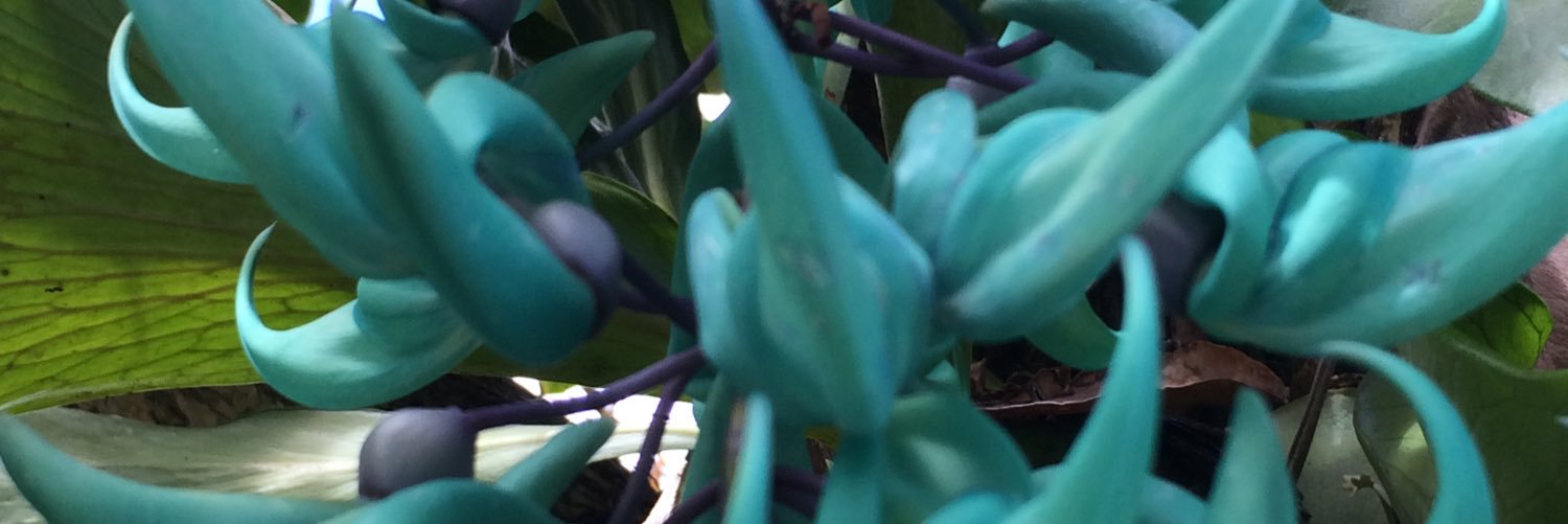 jvance banner