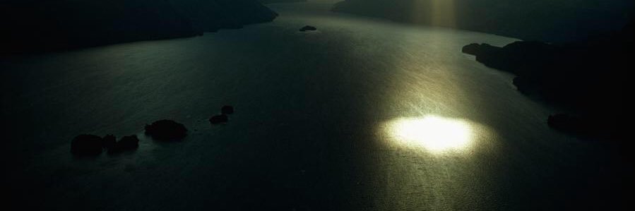 alrefai_faisal's profile banner image