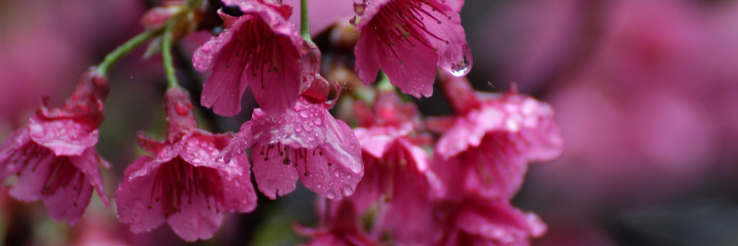 jay16899's profile banner image