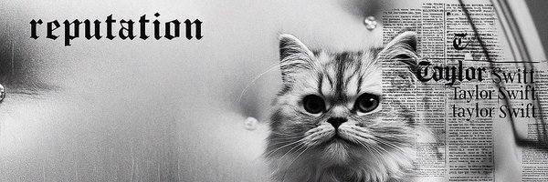 Rachellindsey84 Profile Banner