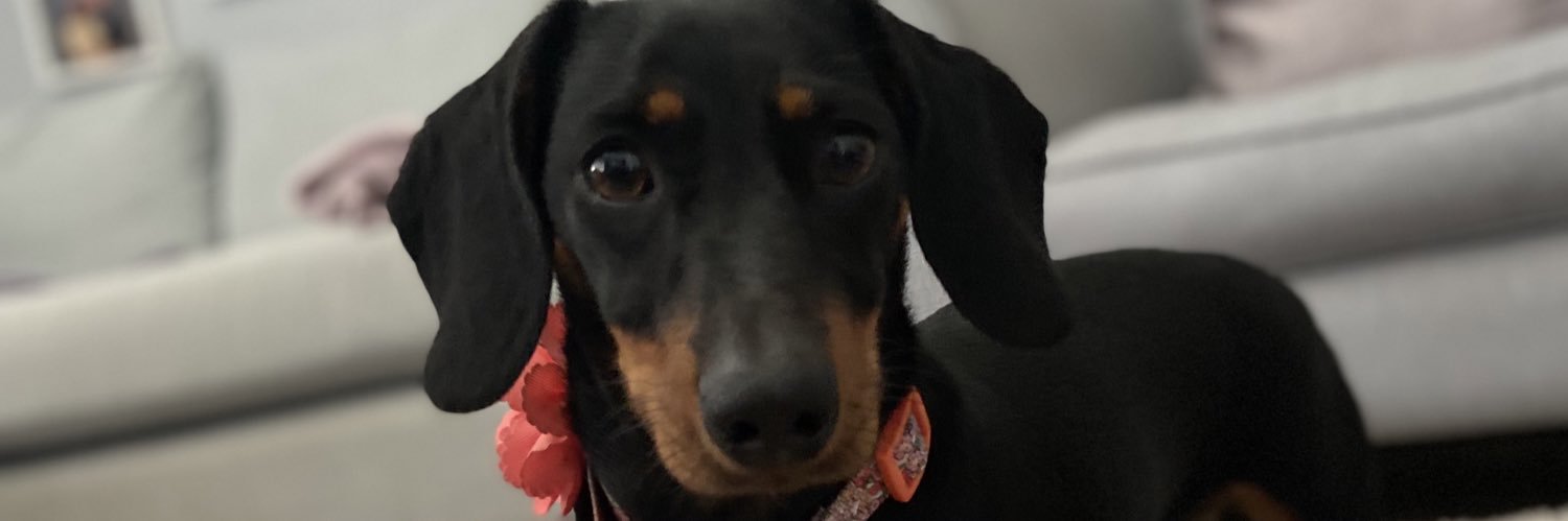 Andy Cranefield 🐤⚽️ banner