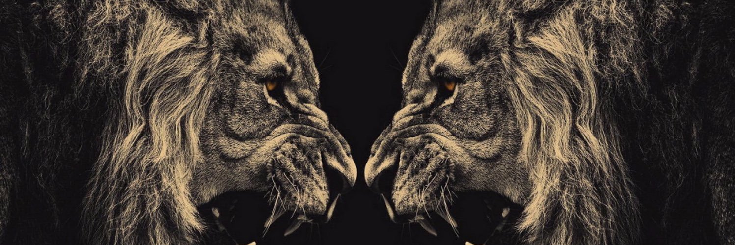Halilakgul47's profile banner image