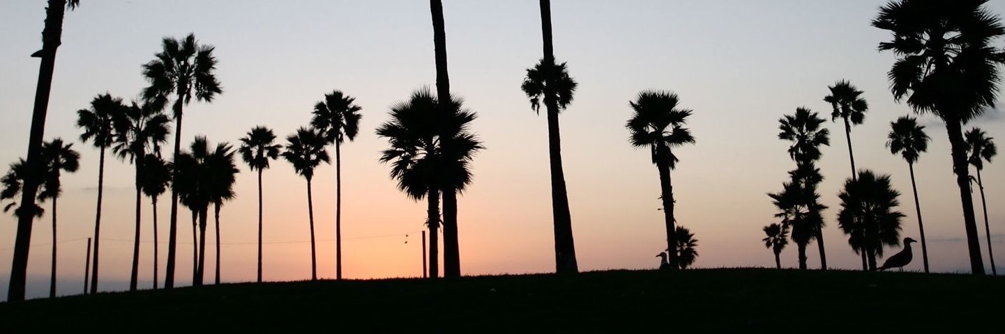 _amberkennedy's profile banner image
